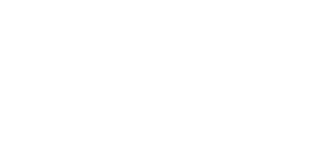 wild elopements logo